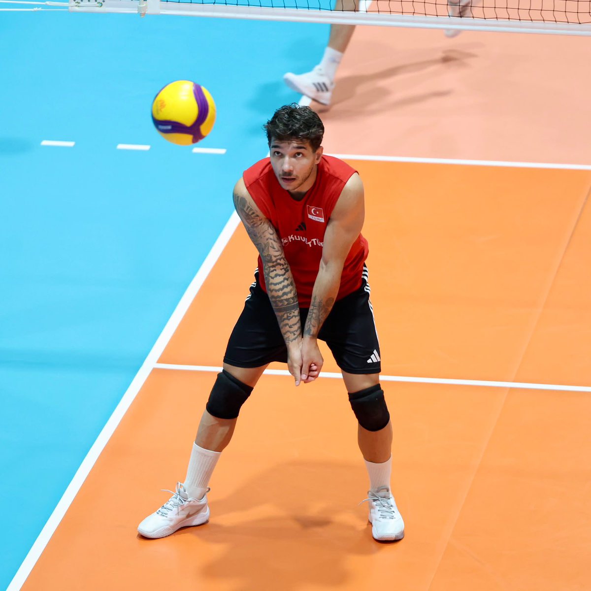 Türkiye Voleybol Federasyonu tweet media