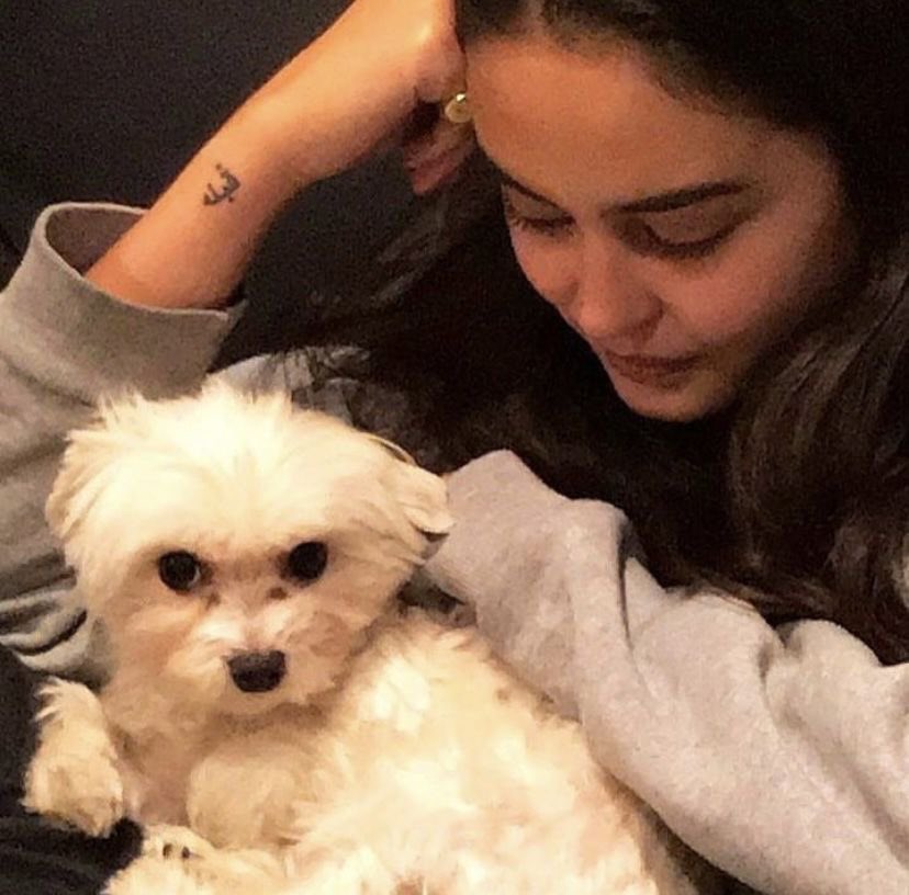 thediaryofiris_'s tweet photo. good morning from rosie and i <3 https://t.co/jDMZ701Obc