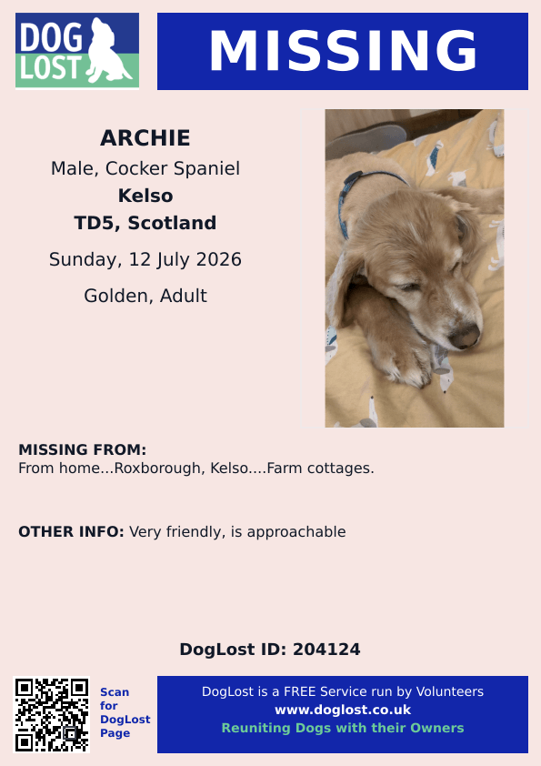 millypod1's tweet photo. 🆘12 July 2026 #Lost Archie #ScanMe
Cocker Spaniel Male
From home...Farm Cottages #Roxborough #Kelso #TD5 #Scotland #ScottishBorders
https://t.co/yuBAviCOgN https://t.co/OSru7xHufo