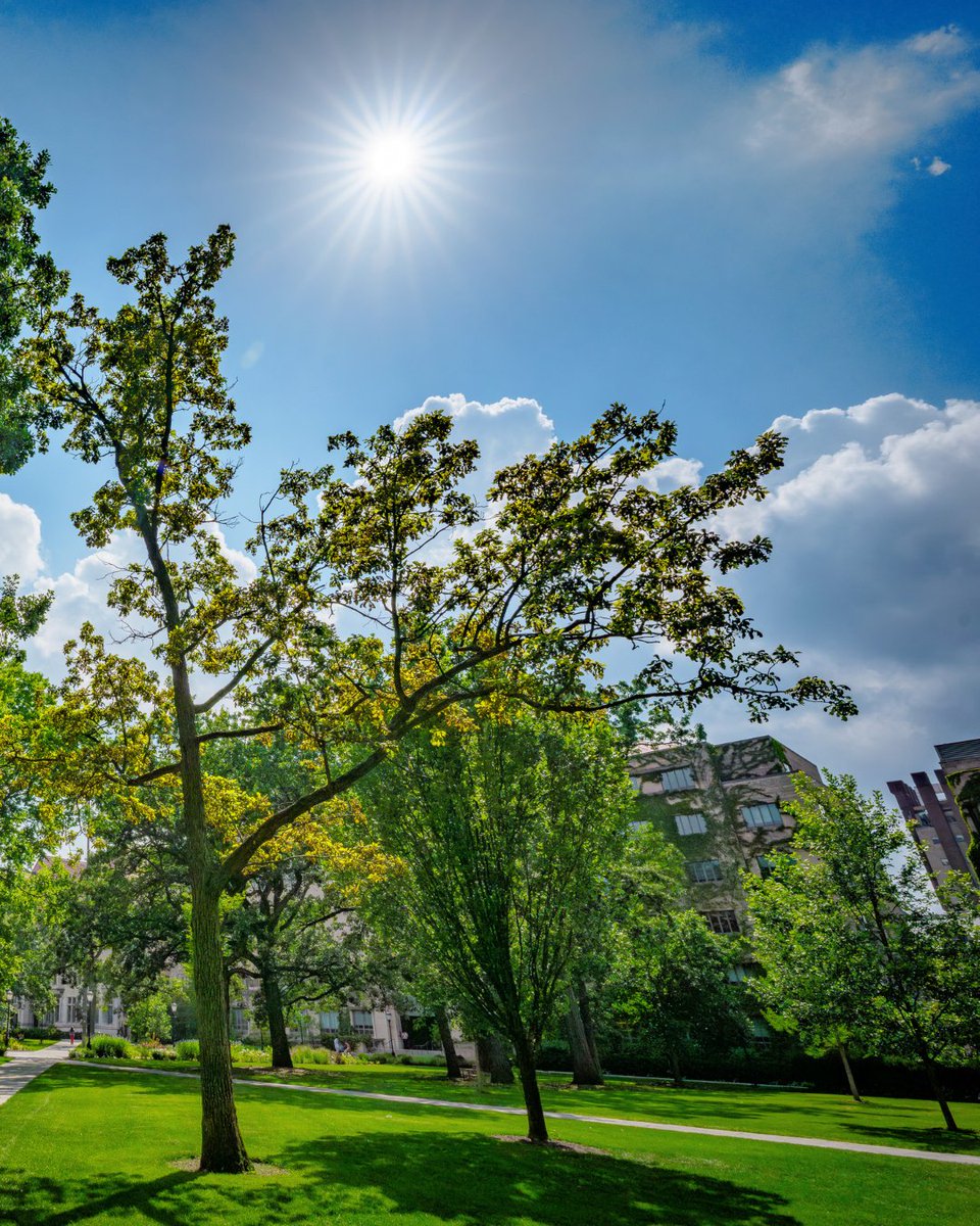 The University of Chicago tweet media