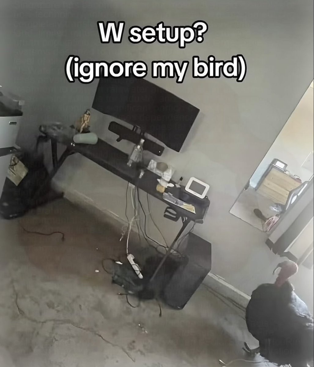 Gone Viral on X tweet media
