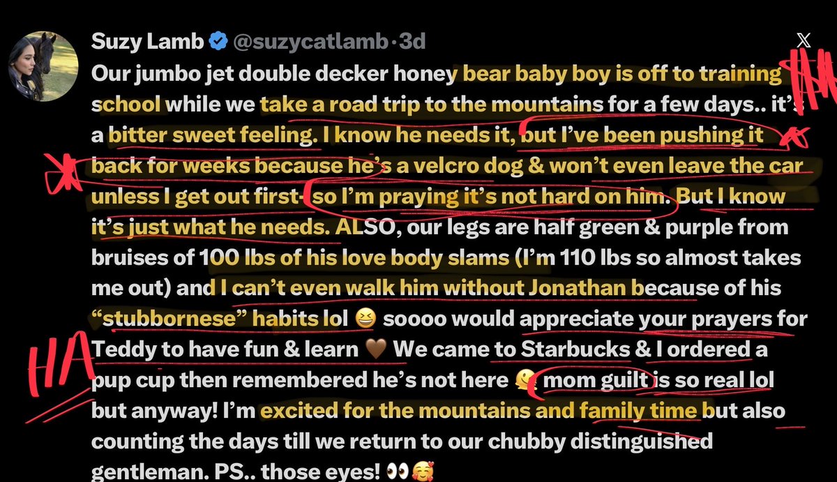 TruthWins_2022's tweet photo. @wohopper5 @SilverFTJ_997 @suzycatlamb @j_lamb @LauraLynnTT @Daystar That POOR DOG COULDNโT EVEN BE TRAINED AS A PUP BY THESE TWO LAZIES?๐๐คฃ๐
This isnโt ROCKET SCIENCE Suzy!!
ANY DOG AND ANY CHILD CAN BE TRAINED FROM EARLY ON.
#ExplainsMuchTho
Denise found yr kids undisciplined,and blamed ๐ซต๐ผfor bad parenting!
#Haa!
๐ซต๐ผSTUBBORN &LAZY Suzy
NOT ๐! https://t.co/z68KmEZDte