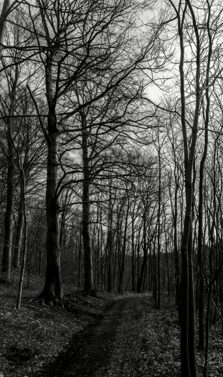 NIN75_'s tweet photo. The path....... https://t.co/slAq0Bf7XS