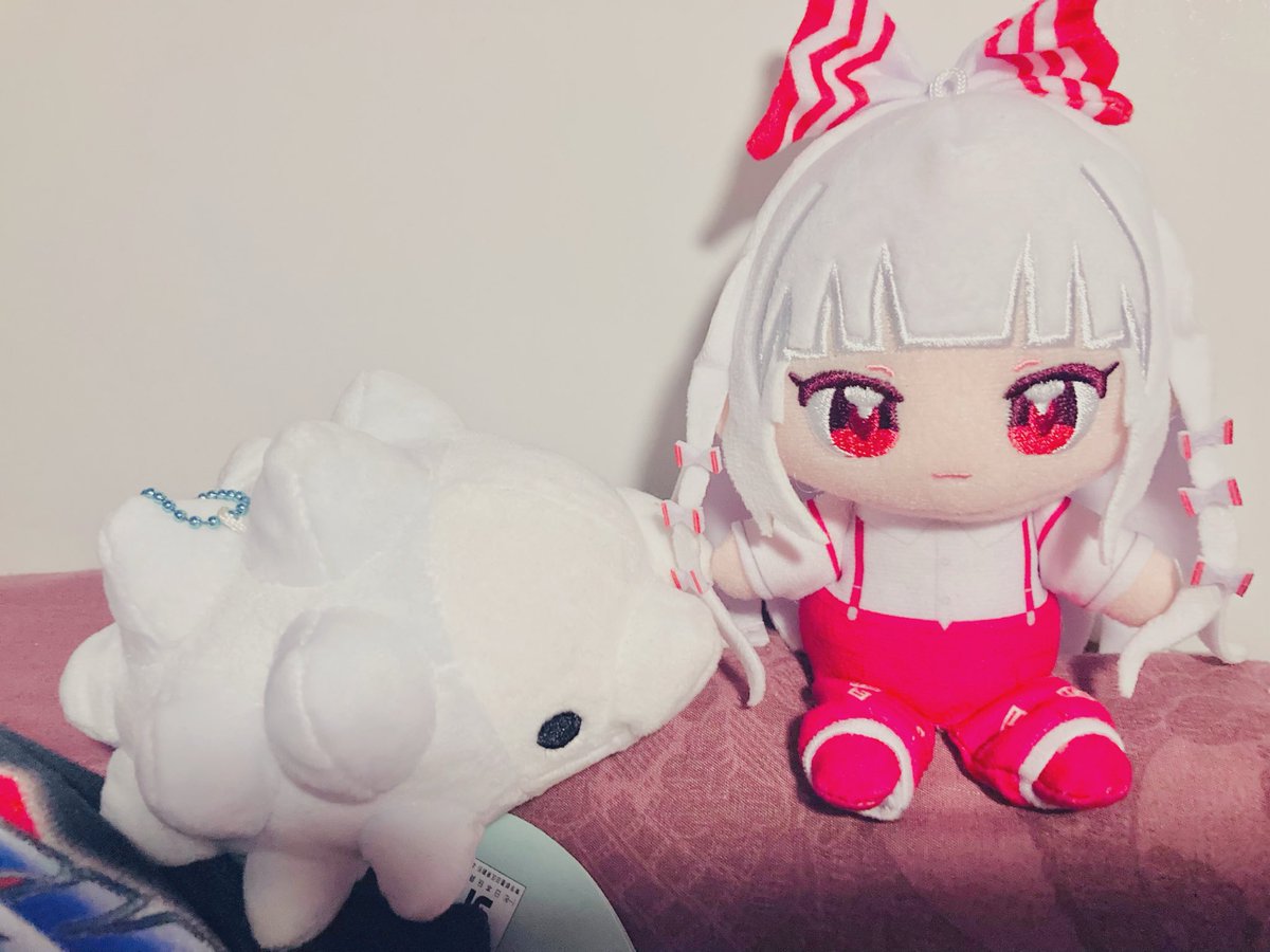 system_nya's tweet photo. もこたんのぬい可愛くて毎日眺めて寝る… https://t.co/GZ1JqlDXyJ