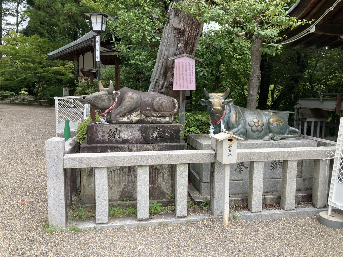 nicole_punte's tweet photo. 本日は京都の割と街中の方のお土産スポット巡りをしてきた！
本命は田舎の方なんだけどどうしても呪いたい人たちがいたから街中ルートで行きました
割と⚪︎ッツの為に周ってるけどア⚪︎ツの所持率が高すぎて太刀打ちできひん
次こそは！！ https://t.co/N9TqNHGXlT