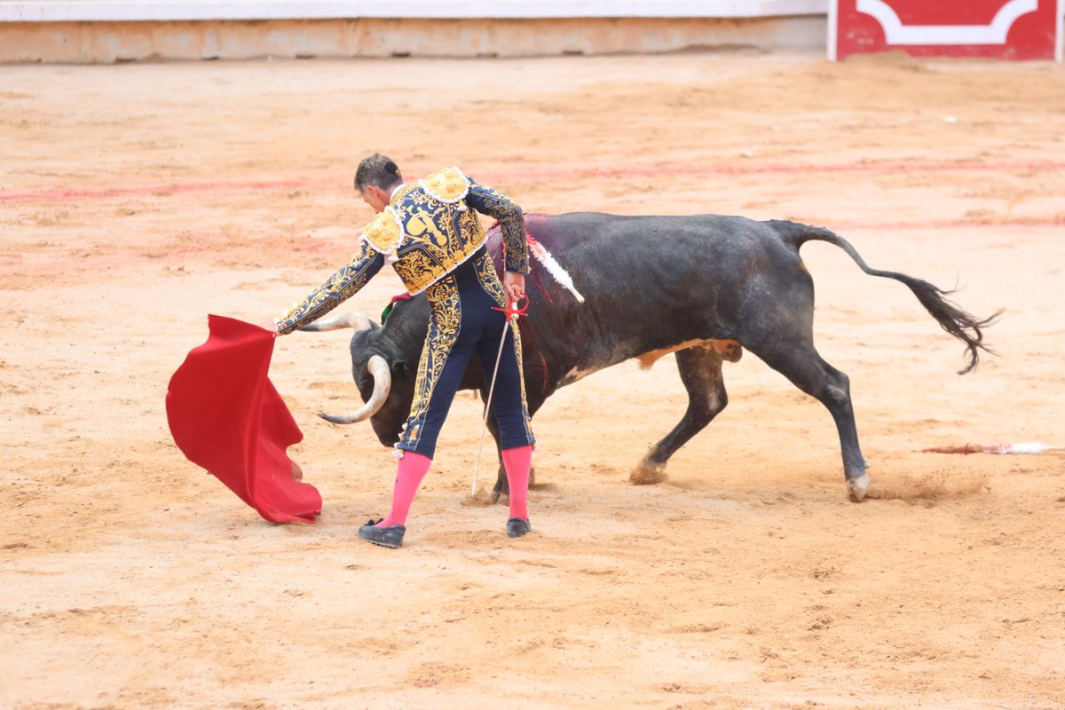 EnfoqueTaurino's tweet photo. No tuvo suerte Escribano en el cuarto, aunque la sombra pidió la oreja, no era faena de oreja y el palco no la otorgo https://t.co/feQhJ0zgRC