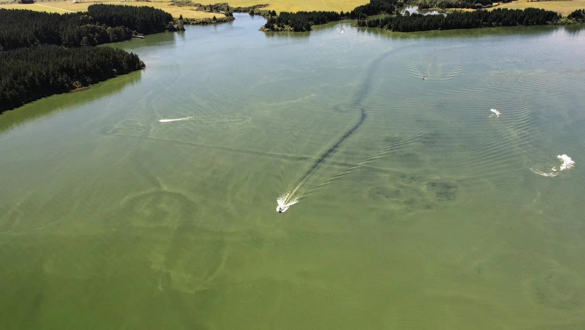 eftwyrd's tweet photo. Lake Maraeti algal bloom. https://t.co/cyiBGksjOS