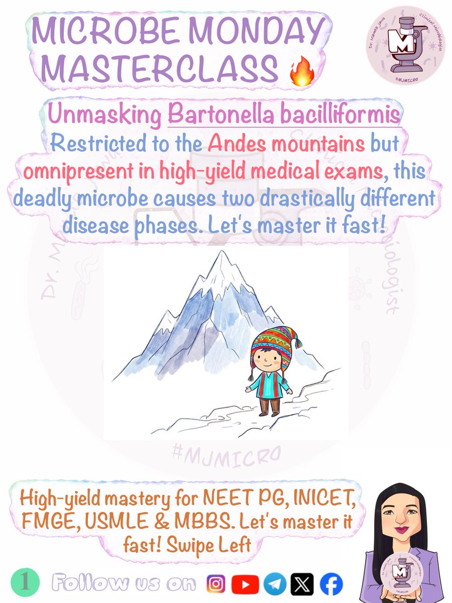 MJ_MICRO's tweet photo. Microbe Monday Masterclass β
π§Ώ (Slide 5 in comments)
#MamtaJawa #MJMICRO #MedTwitter #MedX #MedTwt #microbiology #microtwitter #neetpg #inicet #fmge #usmle #mbbs https://t.co/8vRJeeRRBz