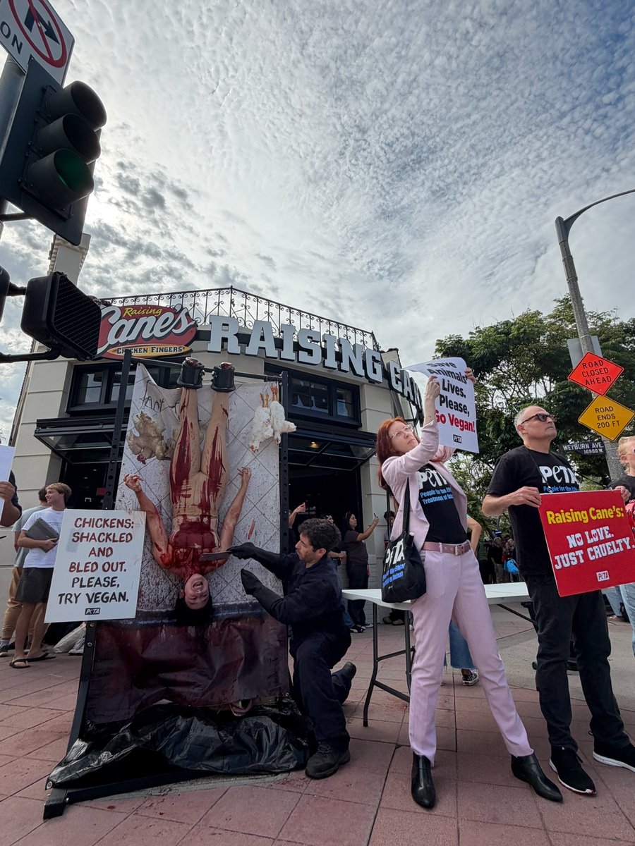 PETA tweet media
