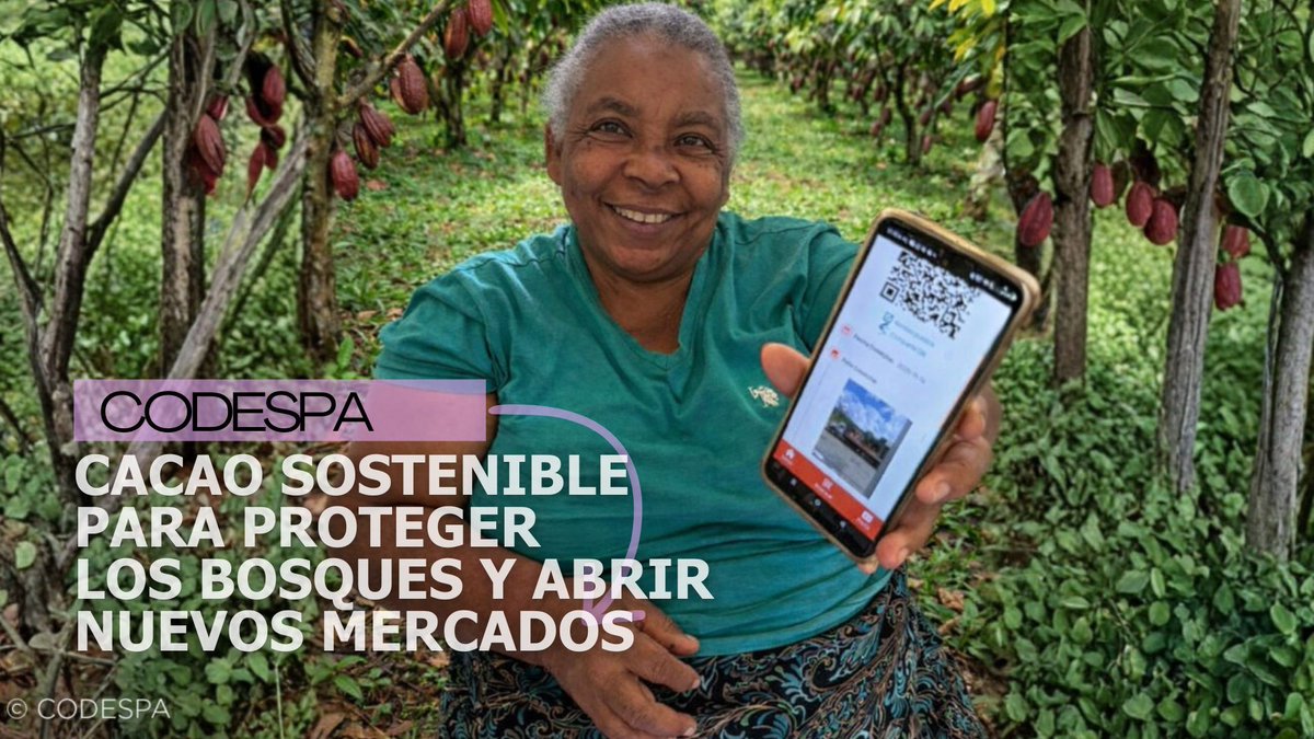 Red Entidades Desarrollo Solidario tweet media