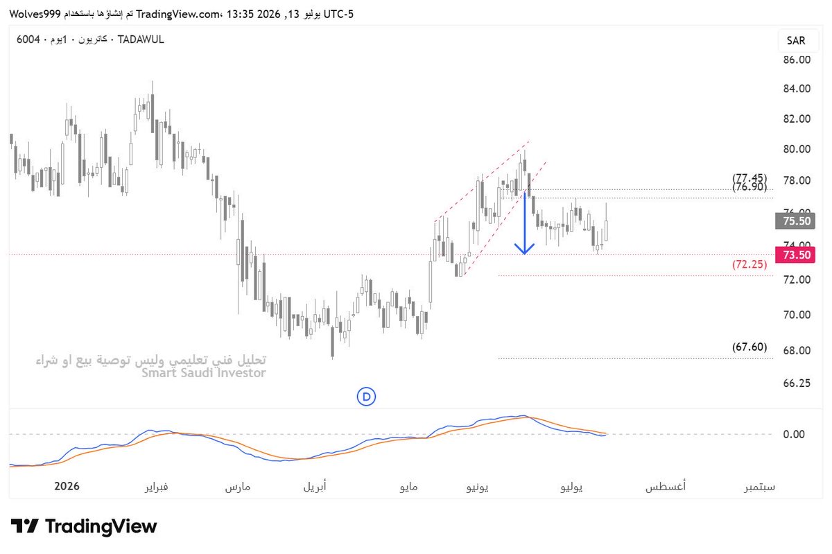 SMART SAUDI INVESTOR ( SSI ) tweet media
