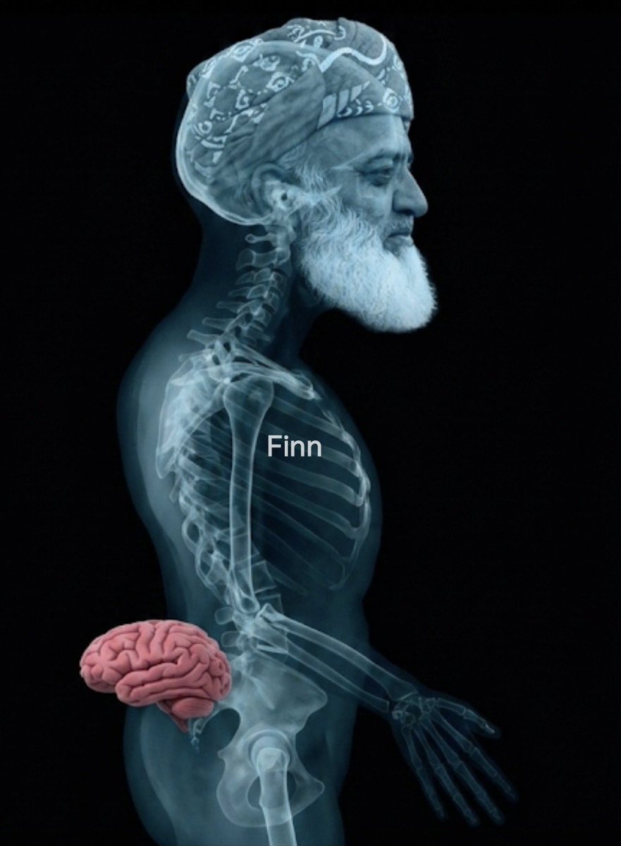 Finn tweet media