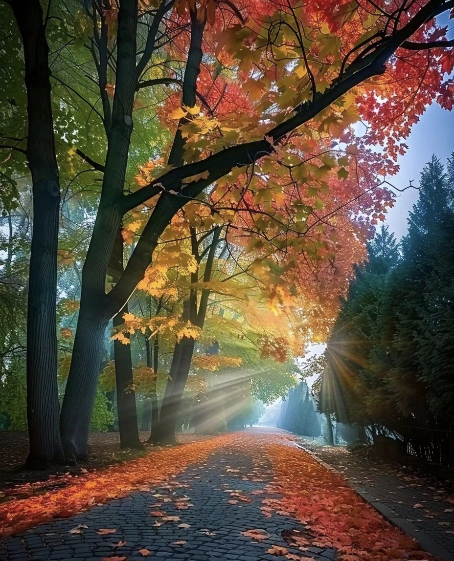 13jaquelin's tweet photo. [Today's autumn equinox – time for golden leaves, cozy sweaters, and warm apple cider. Sending a little seasonal cheer your way! ] https://t.co/xqGjQWOWyo