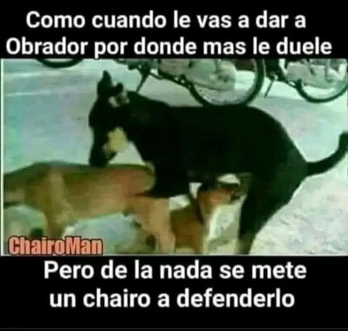 SERESAN00's tweet photo. @_VicenteSerrano @CiroGomezL @FelipeCalderon https://t.co/DUFVFMvTO8