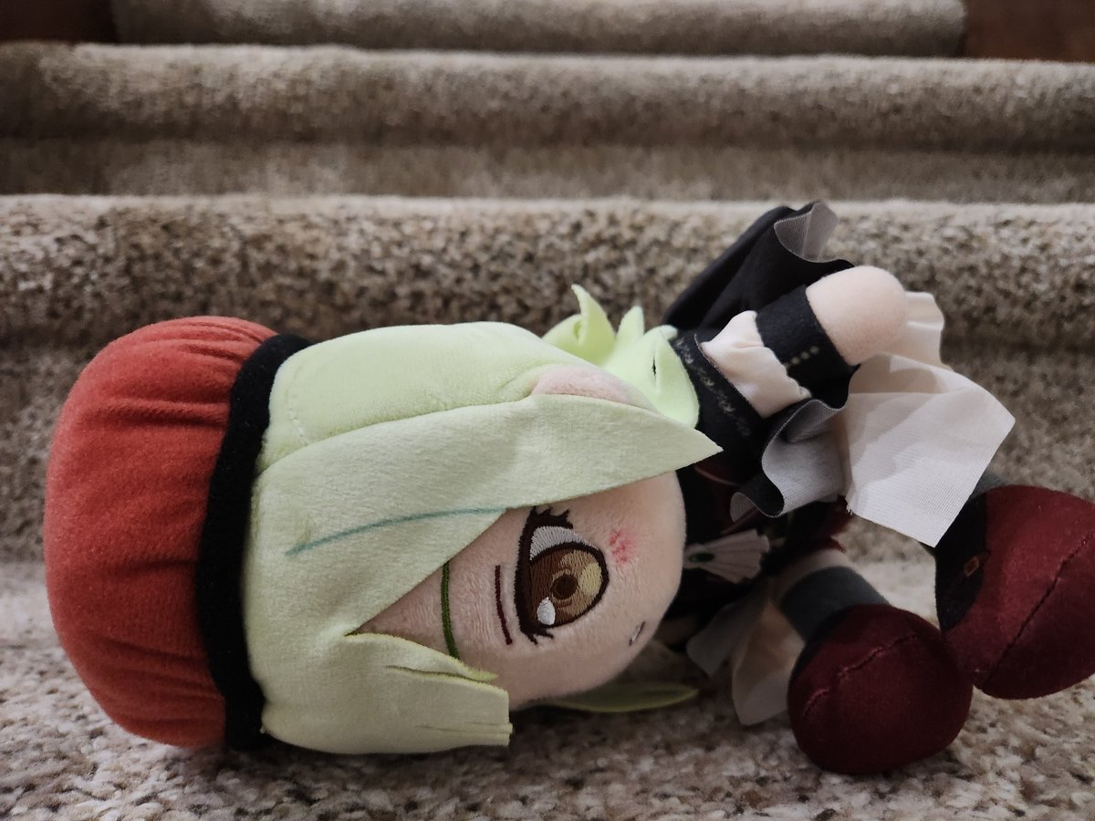 bjk483's tweet photo. Mutsumi is sleeping on the stairs https://t.co/rLh9ZMCkIc