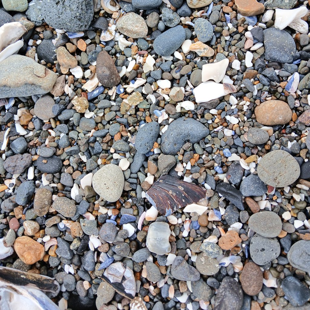 wineandhistory's tweet photo. Just a couple of the agates I found in the wild, plus a little crab friend! Can you see him?
#agates #beachtime #wildlife #OregonCoast #travel https://t.co/ti4denm2Le