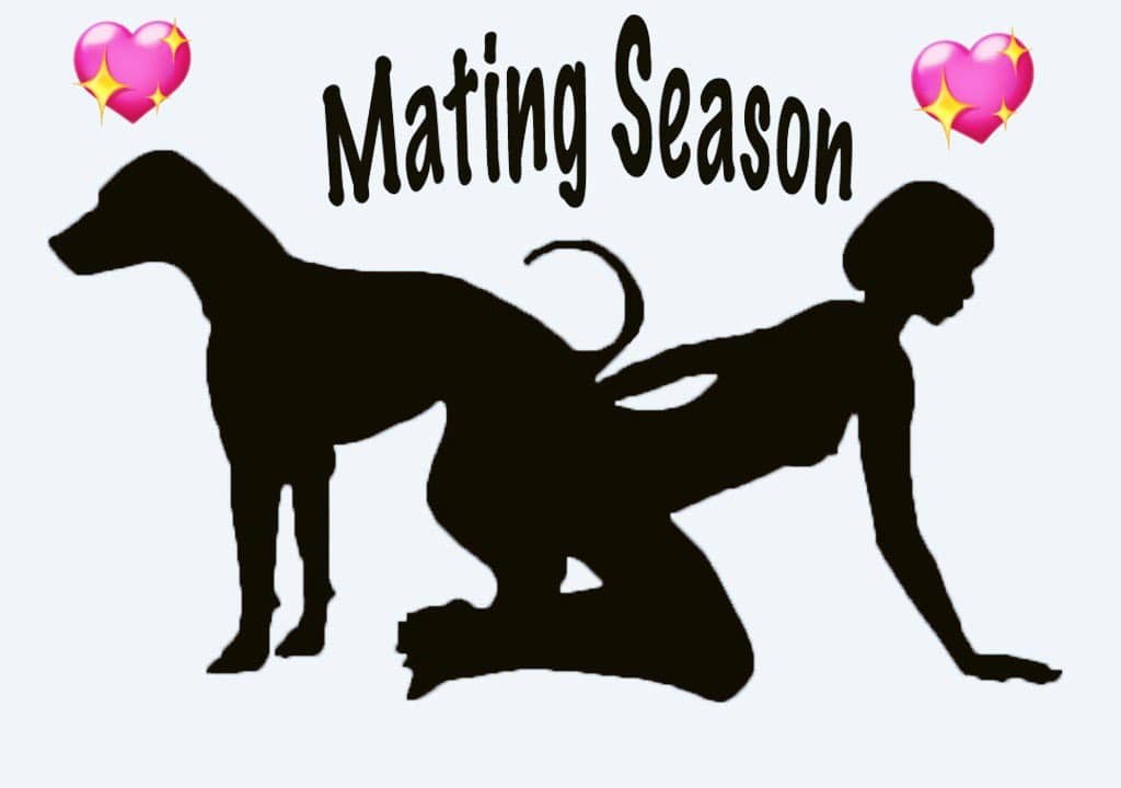 DeniseOlsons's tweet photo. My dog, tap in on Telegram 
https://t.co/LfPjtNUZ8L
#BeastRp #knotted #knottedrp #beastialityrp #puppy #doll
#beastiality #taboo
Live Channel- https://t.co/bJ627W3LDH https://t.co/yjDrvKAvIq