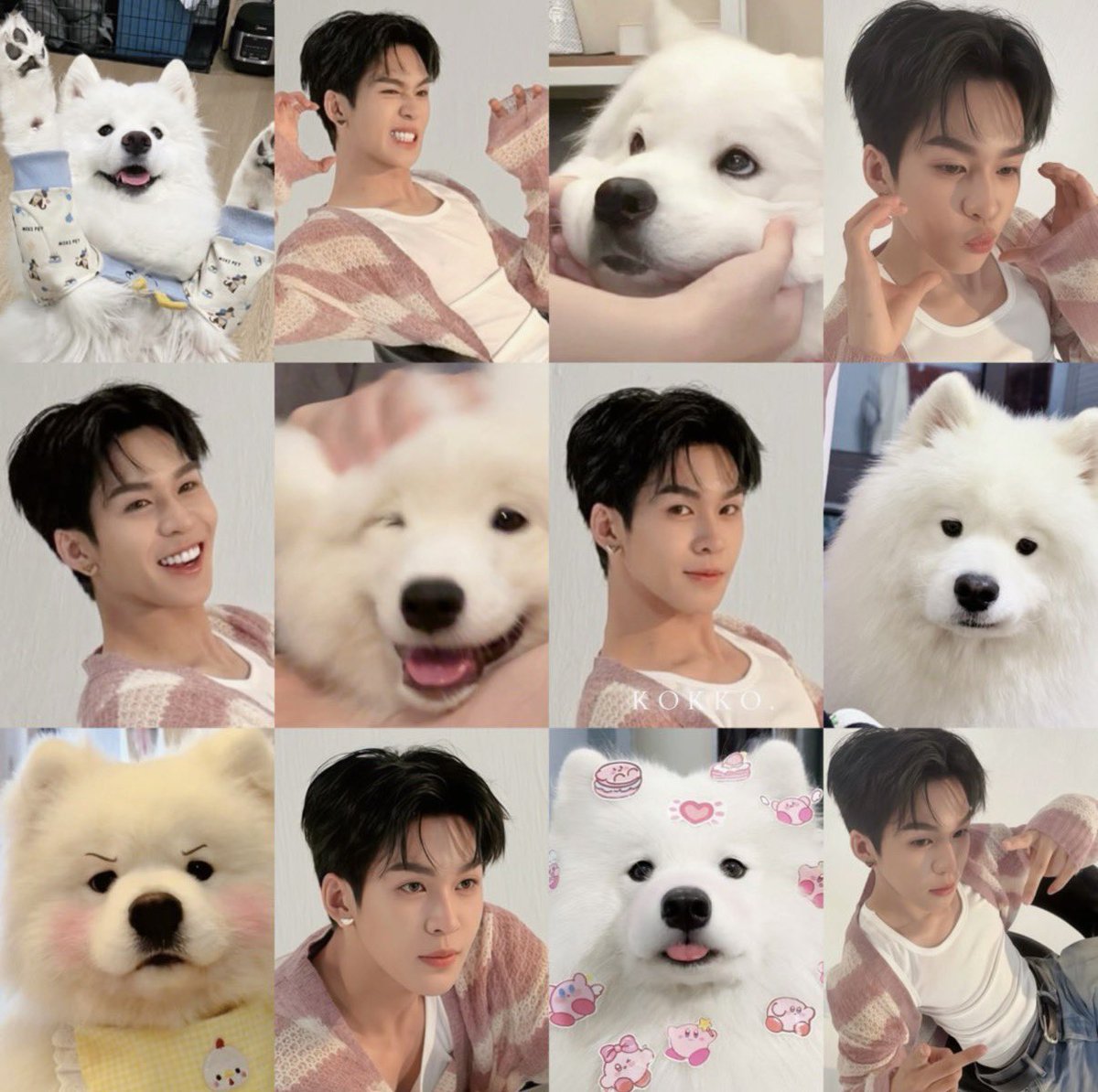 kokkodecoco's tweet photo. #auautnp —
forever samoyed audong 🐶♡ https://t.co/ve3ycnKtpI