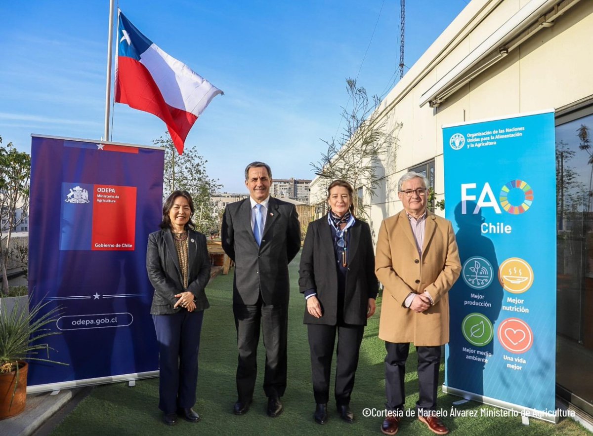 FAOChile's tweet photo. Hoy lanzamos el Proyecto GEF de Agricultura y Ganadería Regenerativa: 5 años, 9 regiones, 8 rubros productivos y una alianza de ➕de 30 instituciones para transformar el sector agropecuario.

Liderado por @MinagriCL con asist. técnica de @FAOChile y financiamiento @theGEF 👇 https://t.co/TQ2zFYwWya