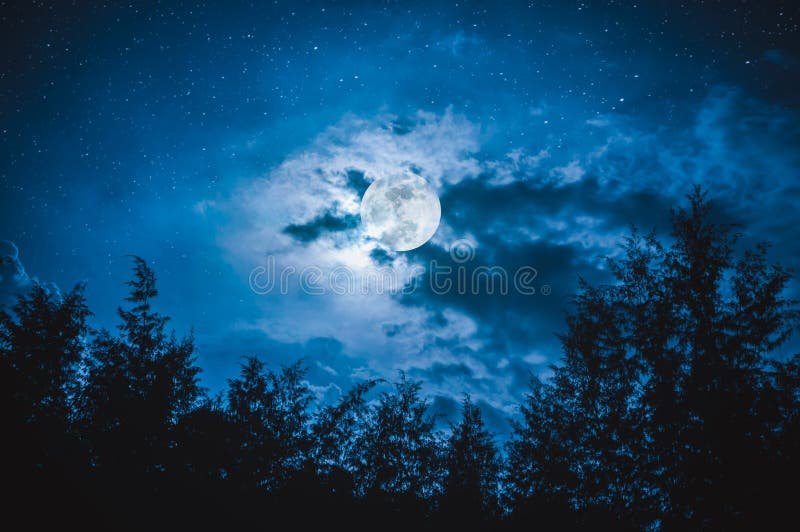 chumamasterske's tweet photo. GOODNIGHT MUTUALS!!!
Nights hit different after a full day of chasing bags. You hustled hard today......be proud of that. Now shut it down, rest that mind, and wake up ready to eat.
Sweet dreams, kings and queens. https://t.co/eR8eiJ4mFK