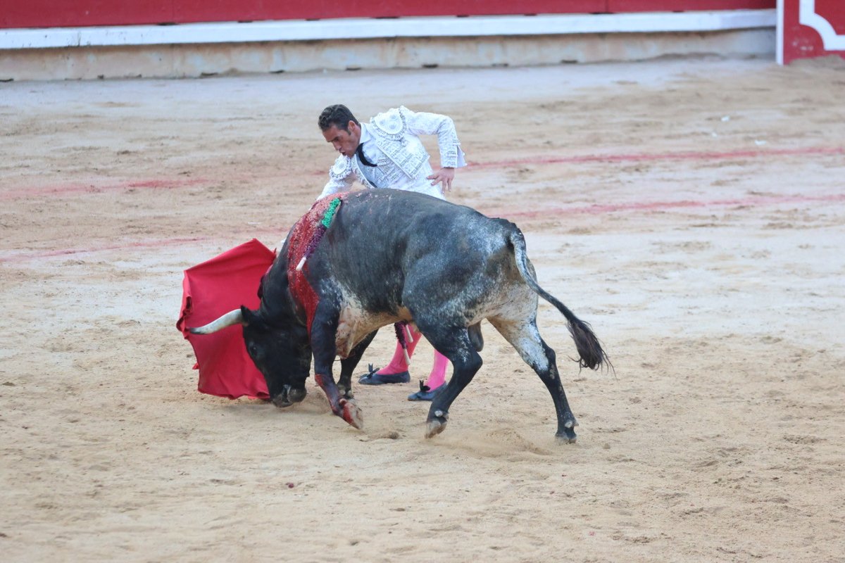 EnfoqueTaurino's tweet photo. Gran pitada a Pepe Moral en el quinto de la tarde https://t.co/fB7hZKSYaG