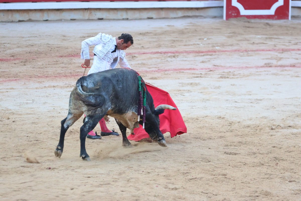 EnfoqueTaurino's tweet photo. Gran pitada a Pepe Moral en el quinto de la tarde https://t.co/fB7hZKSYaG