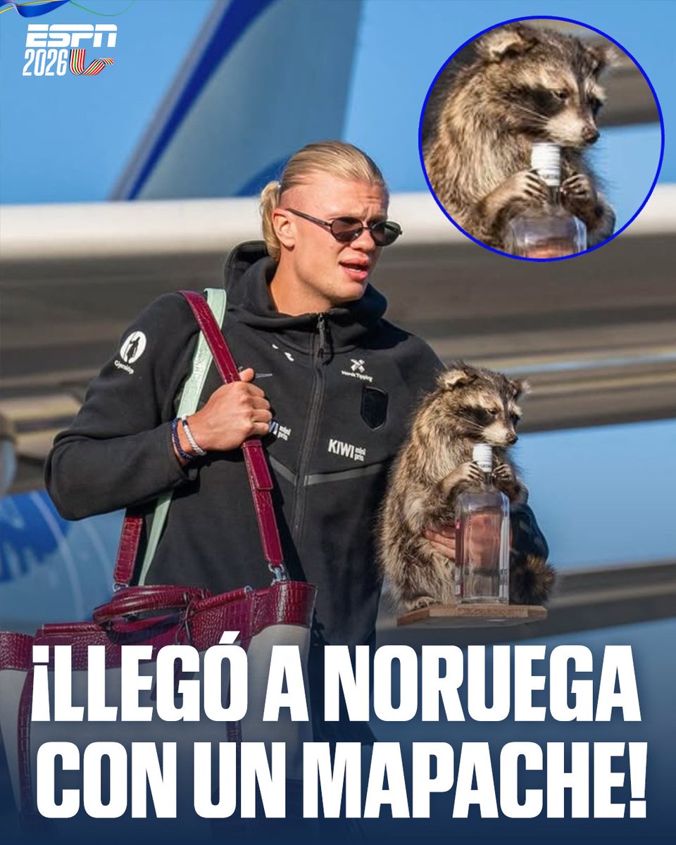 ESPNmx's tweet photo. ¡HAALAND NO DEJA DE SORPRENDER! 🤯

🛬🇳🇴 Así el noruego aterrizó en Oslo con un acompañante que llamó la atención.

(vía herrelandslaget/afroscandi) https://t.co/XqxVpyNdoK