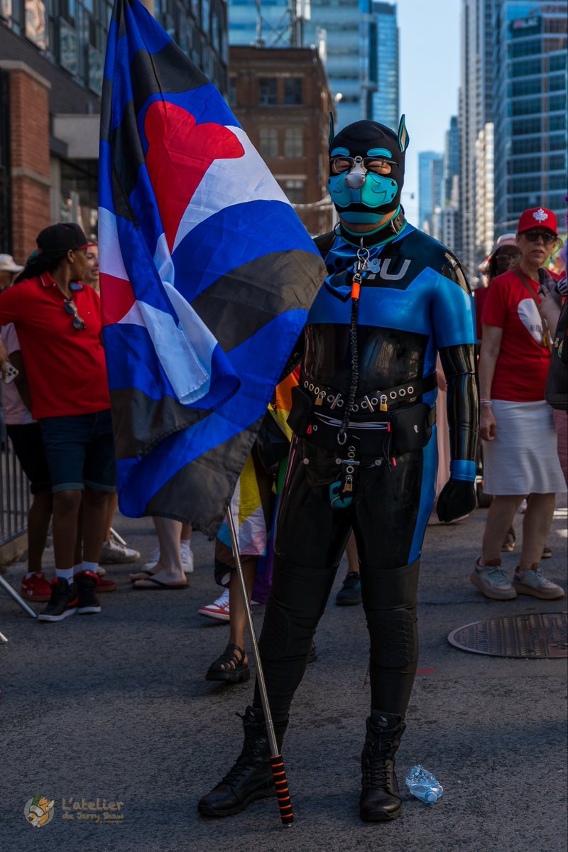 coder_mizuri's tweet photo. Proudly we stand here to demonstrate puppies’ love and pride.

📷： @js_hundchen https://t.co/uanRb6uAtD