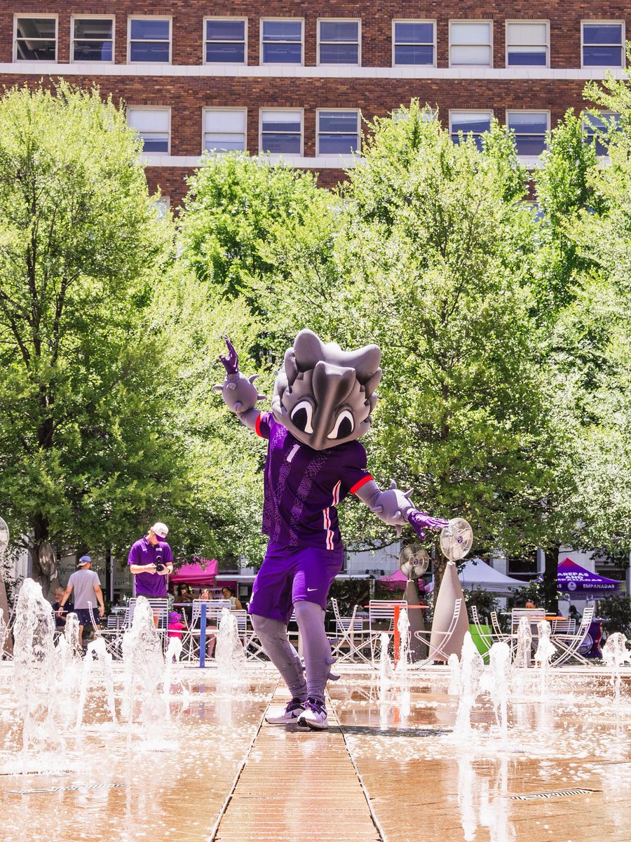 TCUSoccer's tweet photo. No better way to celebrate the Summer of Soccer than right here in the 817 โ๏ธ
#GoFrogs | #FrogSide https://t.co/FYecBjUHMT