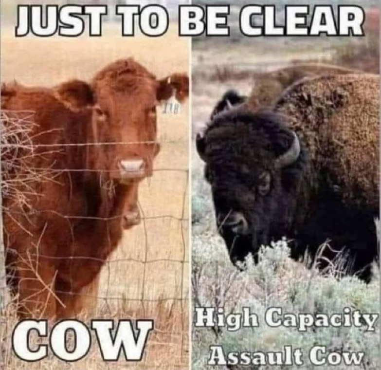 _rockytop_biker's tweet photo. We've all seen the video of the man being thrown in the air, by the bison, in Yellowstone National Park. Please steer clear of these hoofed animals. The will hurt you! Hell, around here, bison gore people every year. Continue to follow me for more sage advice. 🫵😎👊 https://t.co/7vKNIkYSzj