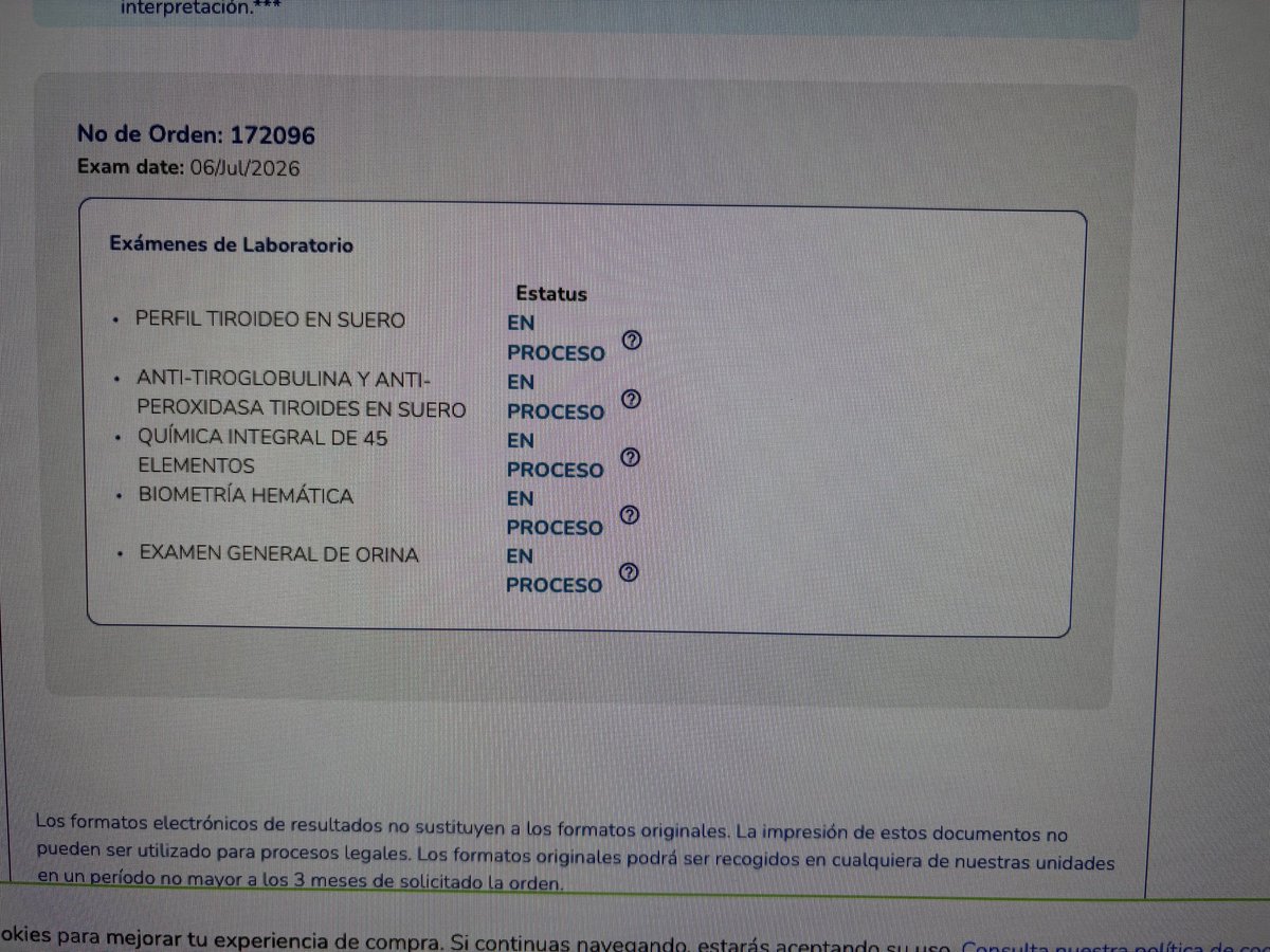 Claudia Derbez tweet media