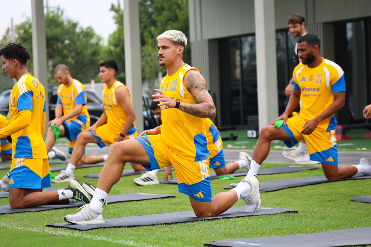 Club Tigres 🐯 tweet media