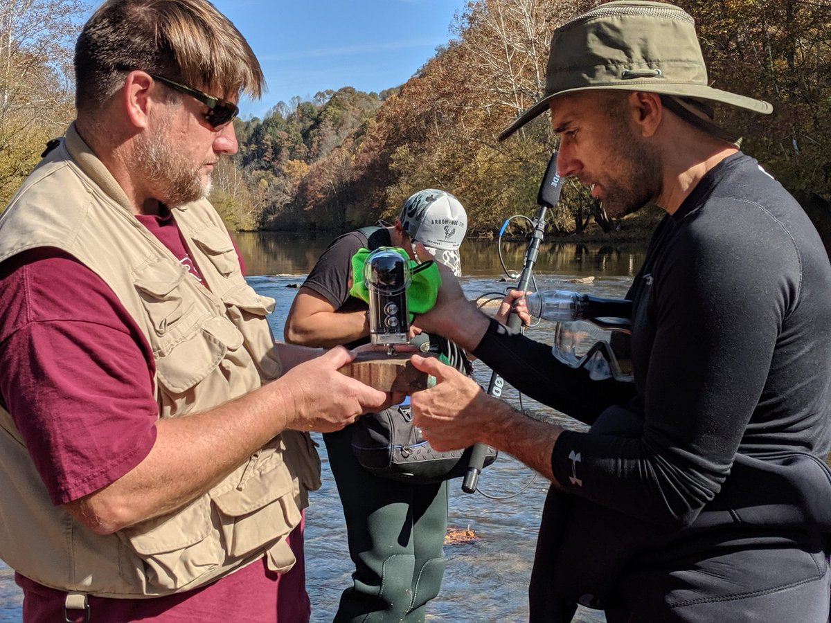 ICTASVT's tweet photo. Science meets cinema. 🤝  Justin Perkinson, associate professor of cinema production, collaborated with researchers including Matthew Hull, Director of the Matter Labs, to create an immersive 7-minute documentary on freshwater mussels. 

Learn more https://t.co/dneKr66mrG https://t.co/44H2yJicku