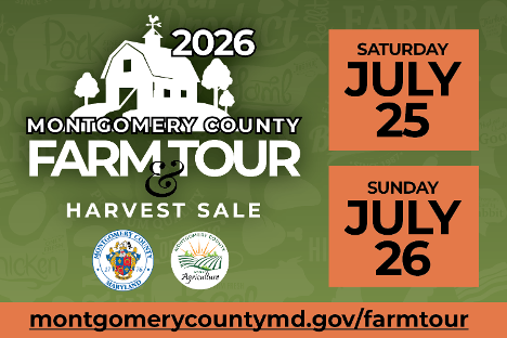 MontgomeryCoMD's tweet photo. 🚜 Explore Montgomery County's Agricultural Reserve during the Farm Tour &amp; Harvest Sale on July 25-26! Visit 26 farms, shop fresh local products, enjoy flowers, produce and craft beverages, and meet the farmers who help make MoCo thrive. 🌻🍓🍻

https://t.co/cz0nkHFqop https://t.co/ew30STkBrs