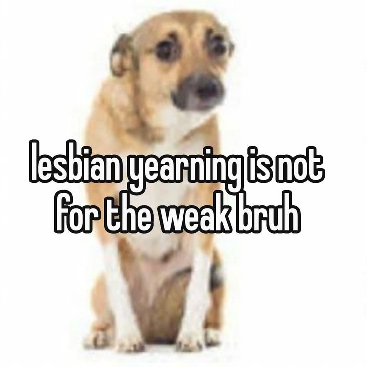 Yuri Musings tweet media