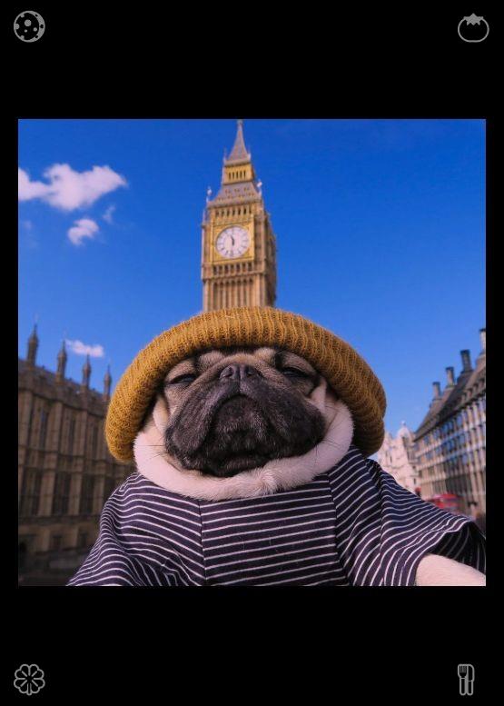 Cdjust22's tweet photo. 保持冷静，每天勇敢前行。863715 我用 22 分钟跑完了三英里，再次刷新了个人最好成绩！我简直不敢相信自己的进步速度如此之快。努力与坚持的力量真是惊人。 https://t.co/cO4Tzny2CL