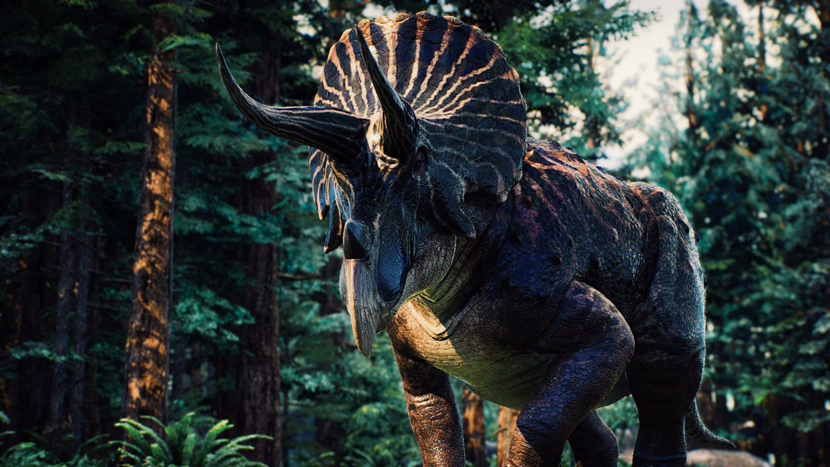 YutyTyrant's tweet photo. 🦖 Daily Paleo 🦖; Triceratops spp. 

From Late Cretaceous Western North America, "3 horned face" is the largest genus of ceratopsian at up to 10 tons. Their huge skulls are attached to their necks via a unique ball joint, and unlike other chasmosaurines, their frill lack holes https://t.co/luW5NTRsTU