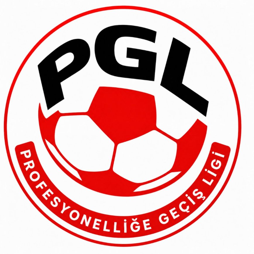 bpthaber's tweet photo. Adı Profesyonelliğe Geçiş Ligi (PGL) olan BAL Ligi'nin yeni logosu: https://t.co/DQXge12d2h