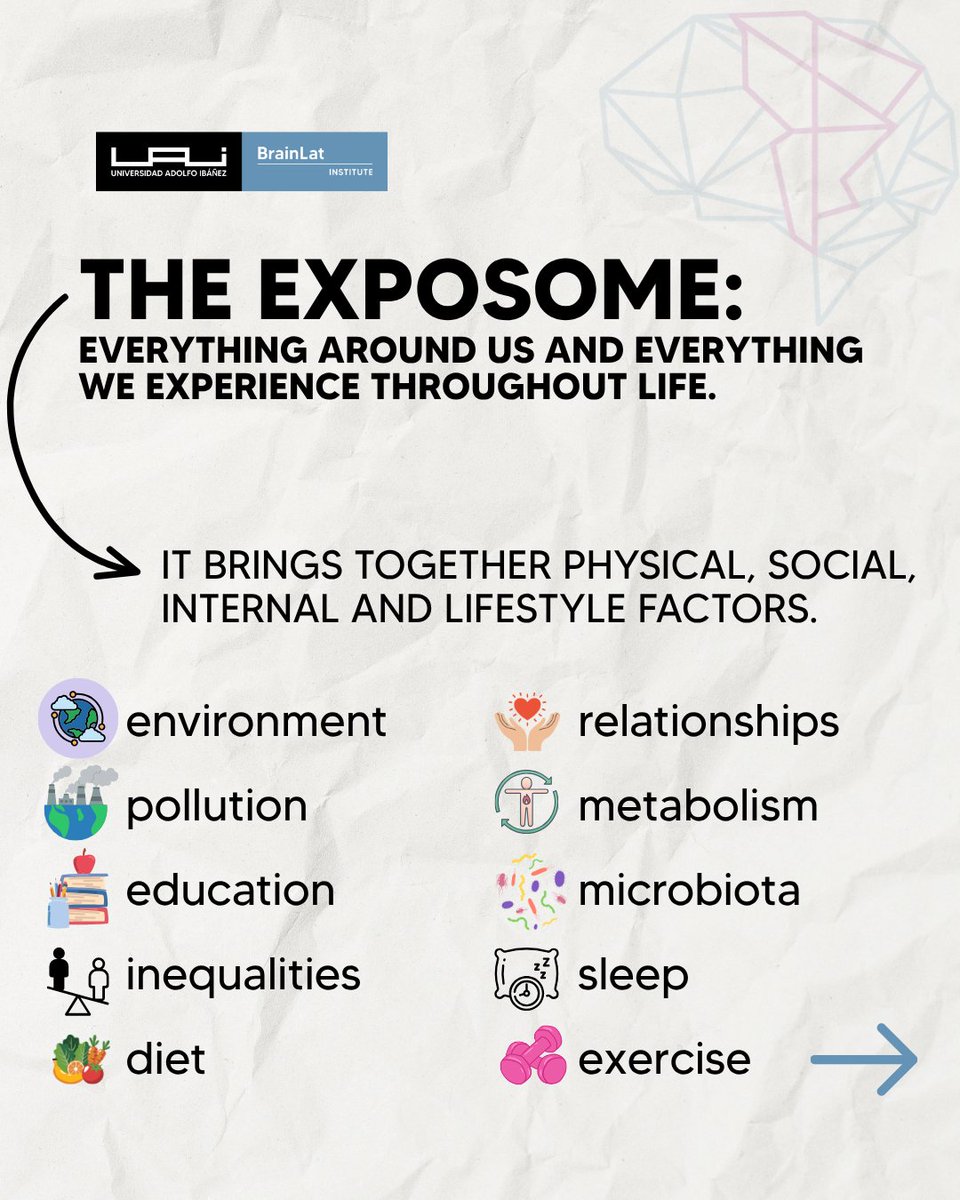 BrainlatUAI's tweet photo. Our lifestyle, socioeconomic factors and environment shape the brain as much as genes do. A new Perspective in @NatureRevNeuro proposes the “exposome” as a framework to understand this cumulative impact and highlights the need for research in diverse populations. https://t.co/3tOGIiSgFf