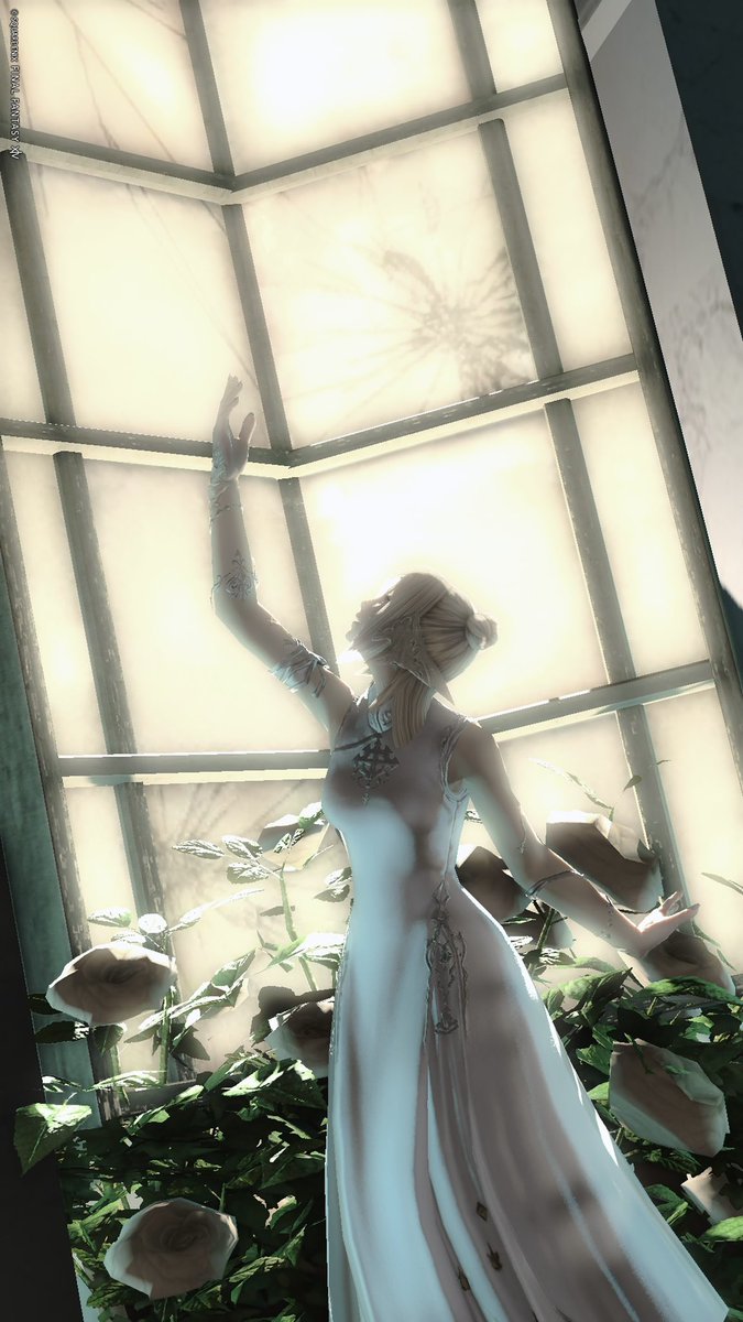 sai_shimashima's tweet photo. #Studio1106 #ff14ss https://t.co/ITt1xKGRlG