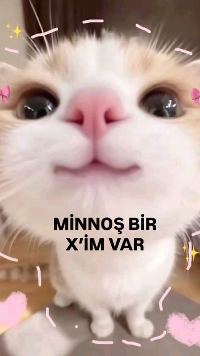 monii tweet media
