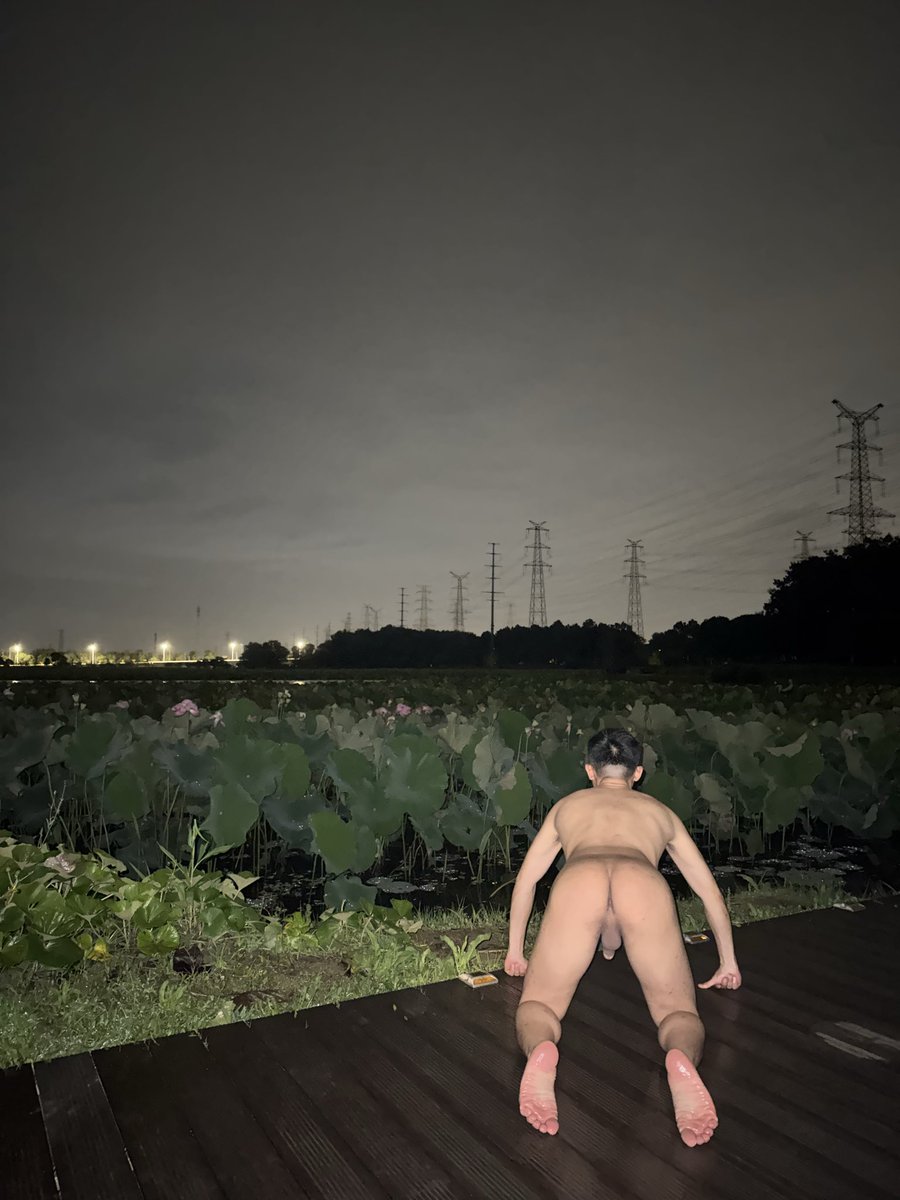 oh0000M's tweet photo. 找主人，坐标上海9号线左边👈 https://t.co/Hy1MIhwnpe