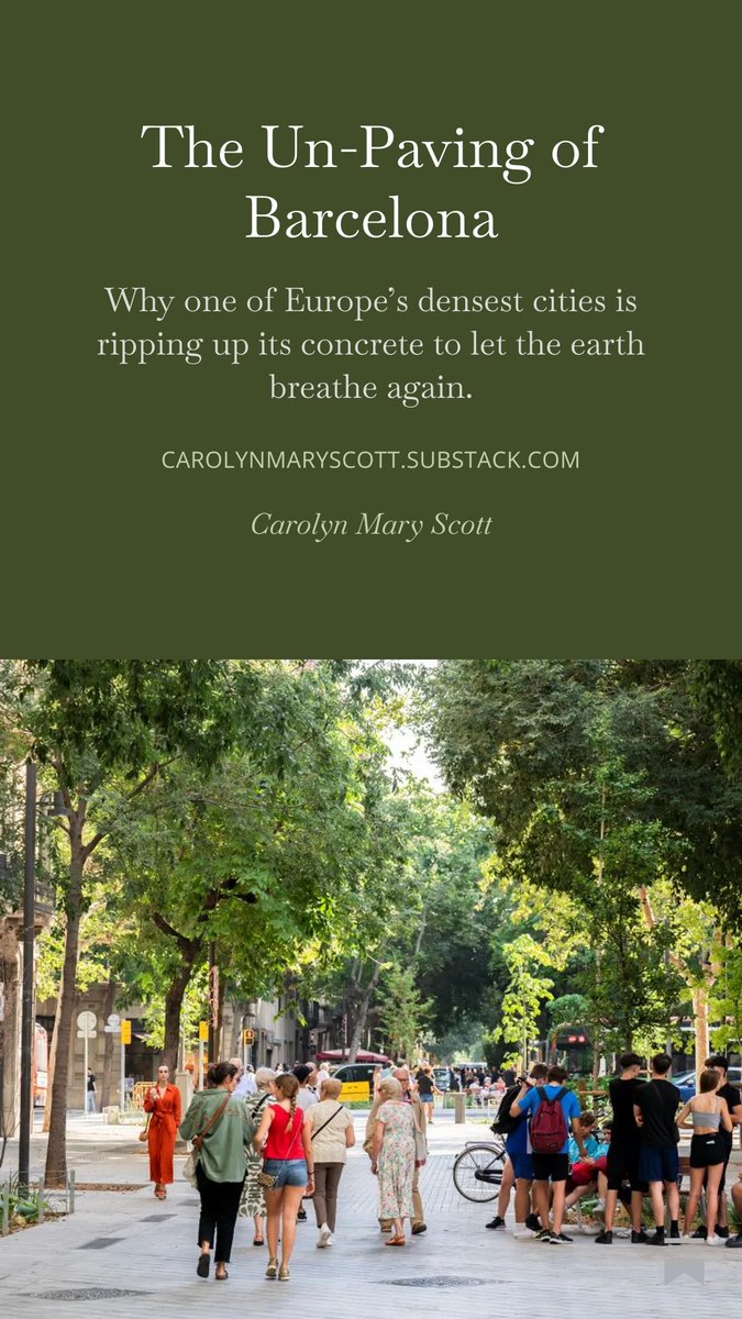 Carolyn M. Scott tweet media