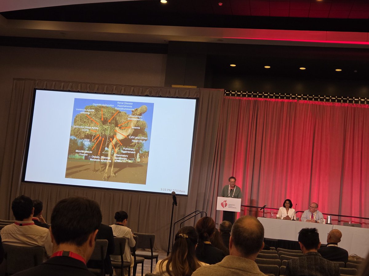 nhpetunia's tweet photo. @CircRes Dr. Kass talking about HFpEF and metabolic disorders #BCVS26 @AHAScience 🫀 https://t.co/9a4ZD7Dfn9