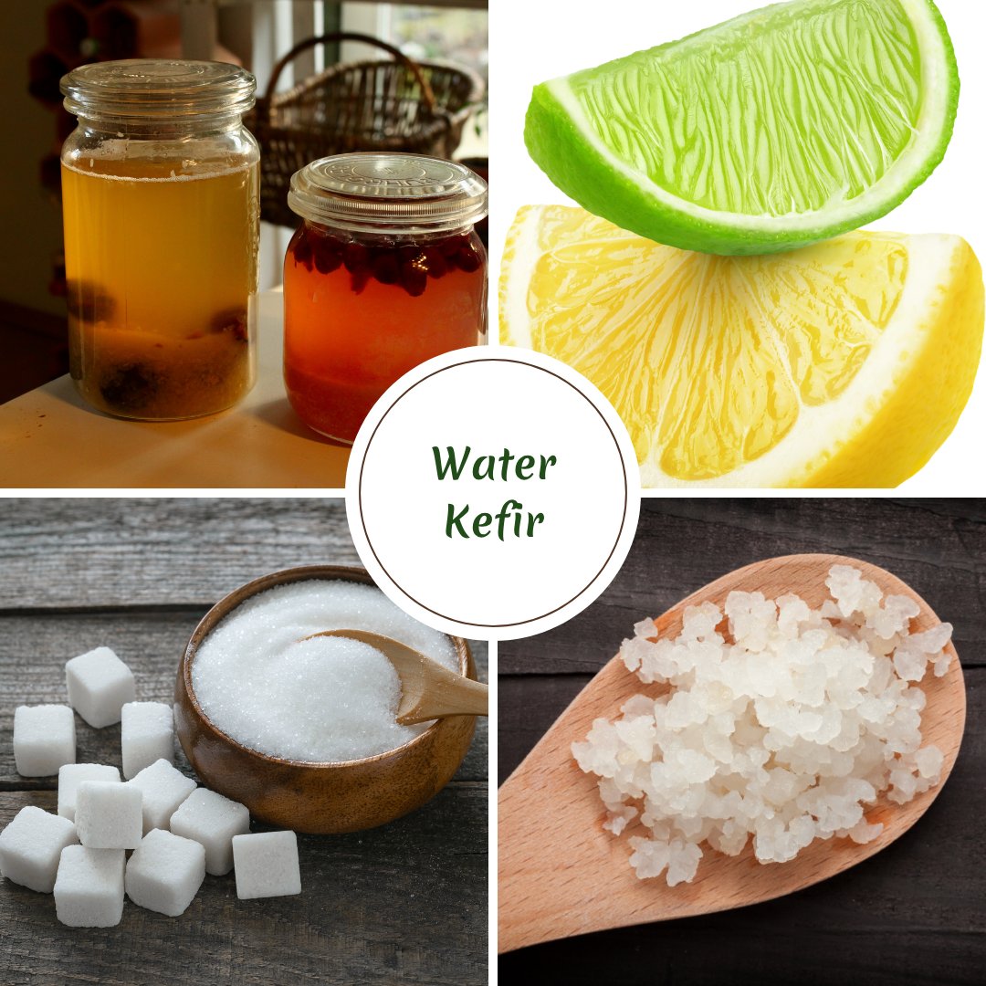 CLHealthCoach's tweet photo. FREE download this week only! 🎁
Microbiome Food Spotlight #6 | Water Kefir
Get it here ➡️https://t.co/ILWbuVfABm https://t.co/k8JsrKdm09