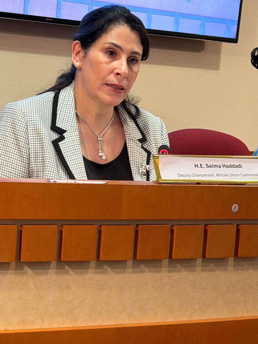 H.E Amb. Selma Malika Haddadi tweet media