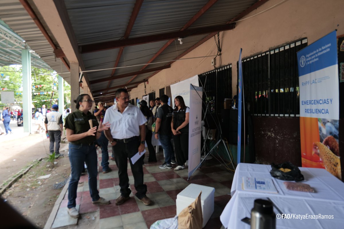 FAOHonduras's tweet photo. 2/3 💧🌾💉 Con apoyo del Fondo Humanitario Regional para América Latina y el Caribe (RHPF LAC), agencias de la ONU y socios humanitarios trabajan en 33 municipios priorizados. Desde #FAOHonduras fortalecemos los #MediosDeVida con insumos agrícolas, sistemas de riego, entre otros. https://t.co/Um5o57Bdwz