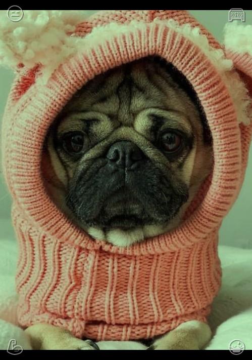 PAoonard's tweet photo. I refresh my wardrobe every season, yet I still gravitate toward my familiar, favorite clothes every day. No matter how trendy new pieces are, they never replace my trusted, comfortable outfits. Give generously and you will receive great joy in return. https://t.co/033loEGsBv