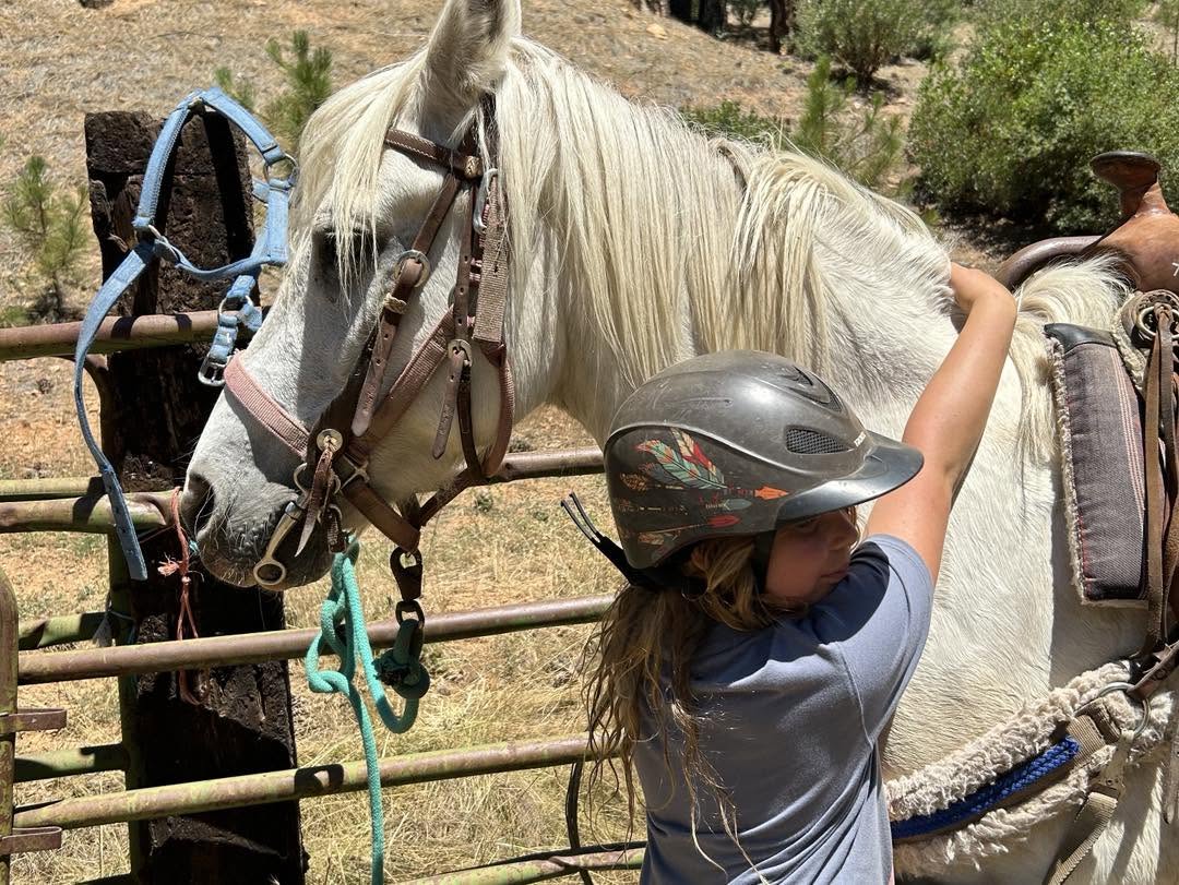 girlscouts's tweet photo. From the barn to the trails, Girl Scouts of the Sierra Nevada had a neigh-mazing time at horse camp! 🐴💚 What has been the highlight of your summer so far? https://t.co/3tbIqiytEX