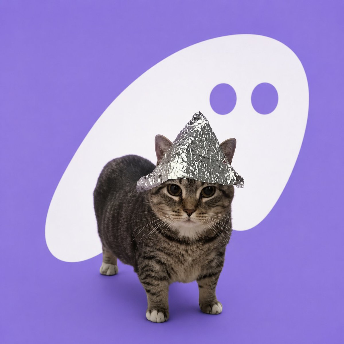 pcatpf's tweet photo. P(hantom) Cat https://t.co/LgZzLzh9It